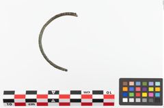 Foto von Bronzearmreif (NHMW-PRAE-023740)